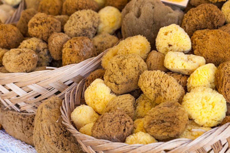 Eponges de Kalymnos