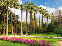 Jardin National Athènes