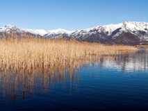 Lacs de Prespa