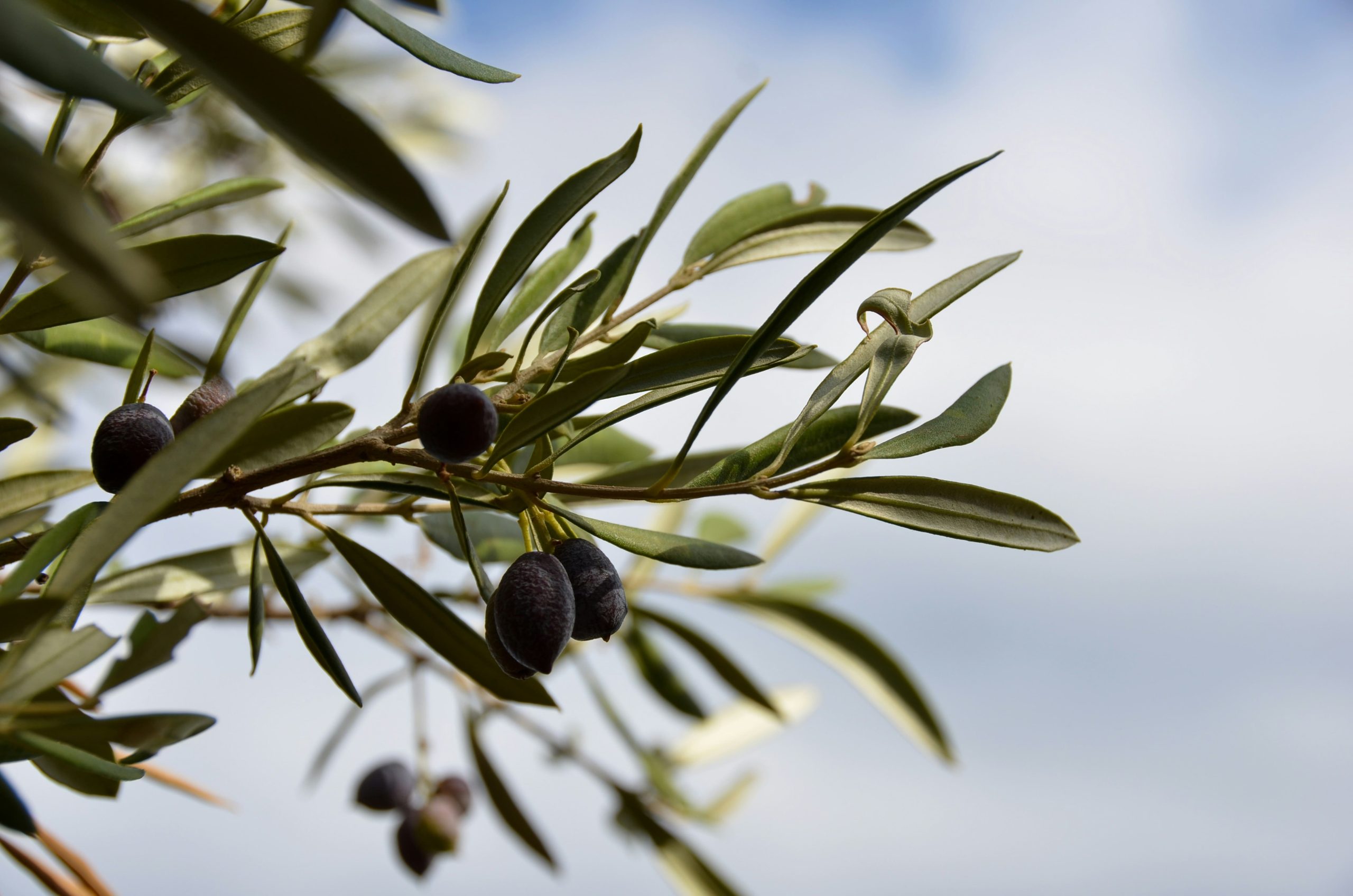 grece-nadine-marfurt-unsplash