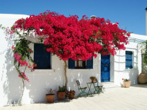 Paros