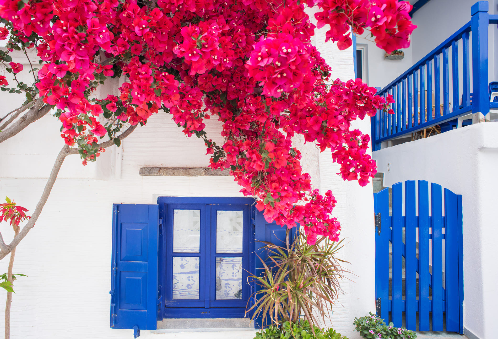 Paros Grèce
