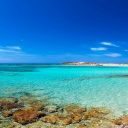 Un séjour en Crète en famille sur la plage d'Elafonisi