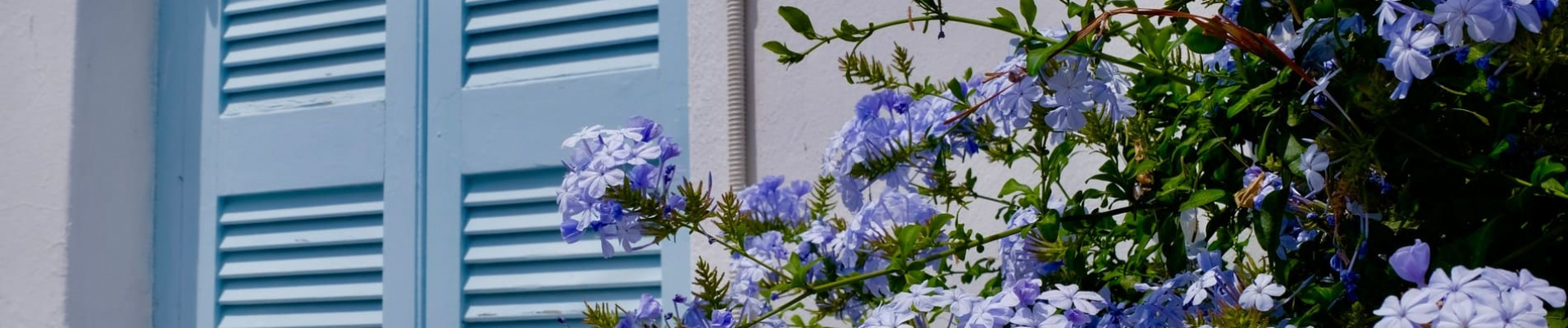 Façade de fleurs Grèce