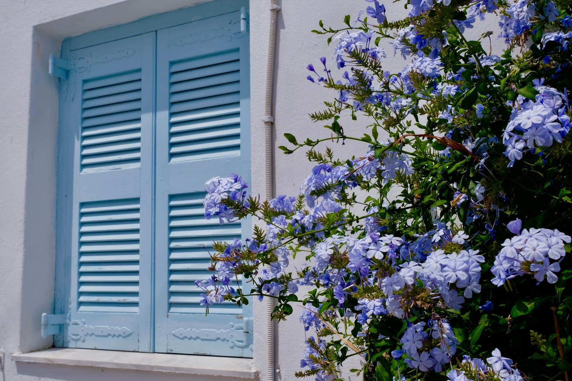 Façade de fleurs Grèce