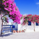 Voyage au coeur des Cyclades : maison traditionnelle à Paros